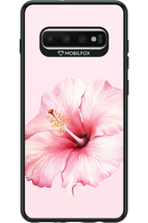 HibiPinky 2.0 - Samsung Galaxy S10+