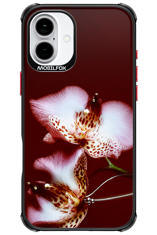 Leobloomy 2.0 - Apple iPhone 16 Plus