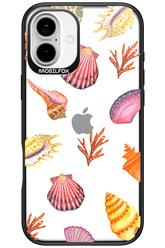 Sea Shells - Apple iPhone 16 Plus