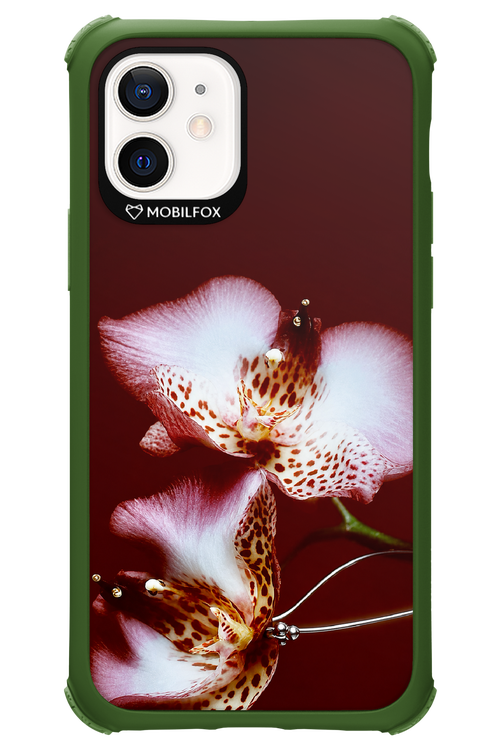 Leobloomy 2.0 - Apple iPhone 12