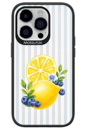 Fresh Flash 2.0 - Apple iPhone 14 Pro