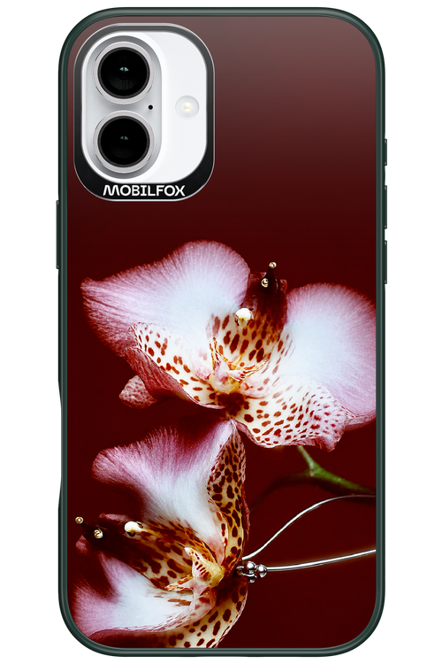 Leobloomy 2.0 - Apple iPhone 16 Plus