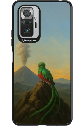 Birdy 2.0 - Xiaomi Redmi Note 10S