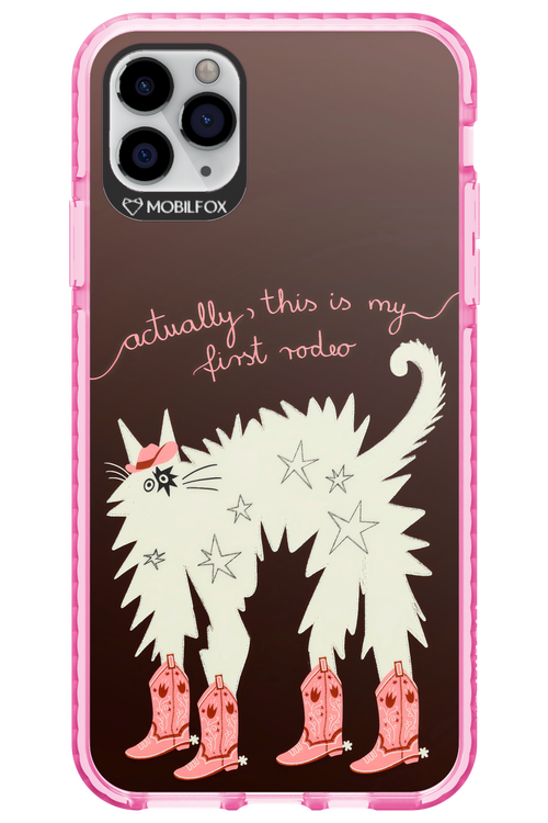 First rodeo 2.0 - Apple iPhone 11 Pro Max