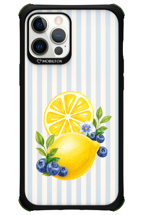 Fresh Flash 2.0 - Apple iPhone 12 Pro Max