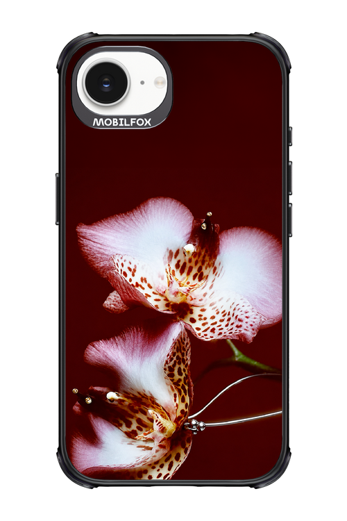 Leobloomy 2.0 - Apple iPhone 17e