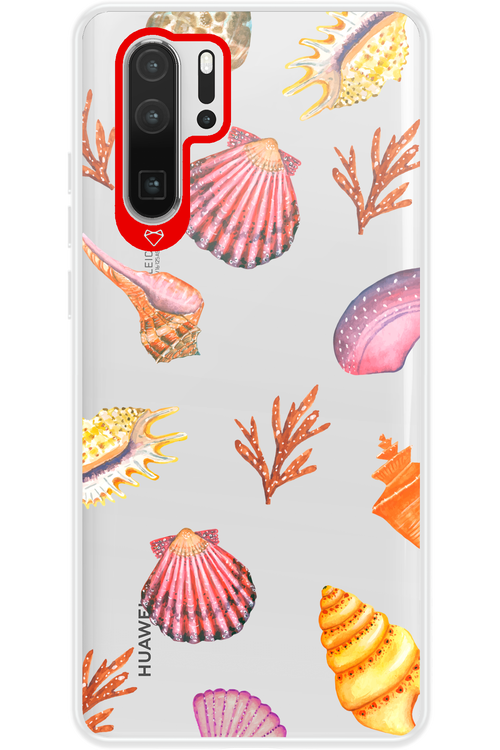 Sea Shells - Huawei P30 Pro