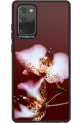 Leobloomy 2.0 - Samsung Galaxy Note 20