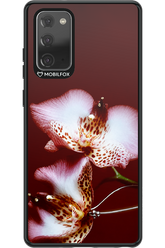 Leobloomy 2.0 - Samsung Galaxy Note 20