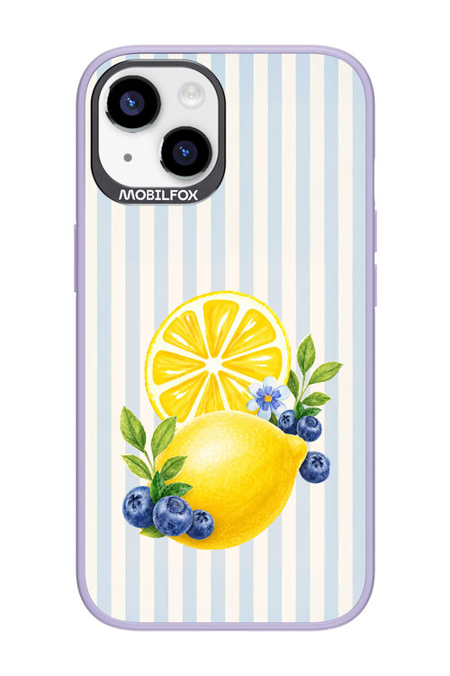 Fresh Flash 2.0 - Apple iPhone 14