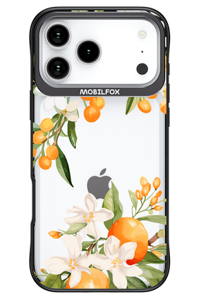 Amalfi Orange 2.0 - Apple iPhone 17 Pro Max