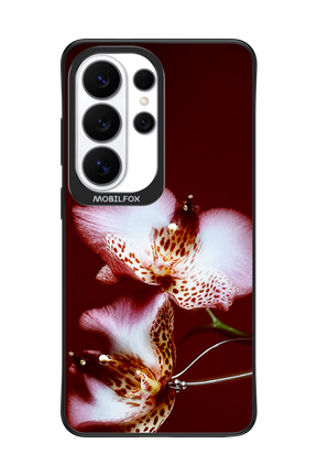 Leobloomy 2.0 - Samsung Galaxy S26 Ultra