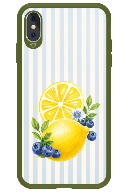 Fresh Flash 2.0 - Apple iPhone XS Max