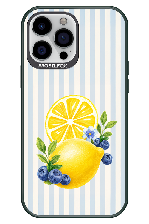 Fresh Flash 2.0 - Apple iPhone 13 Pro Max