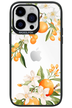 Amalfi Orange 2.0 - Apple iPhone 14 Pro Max