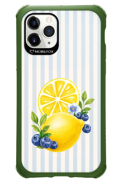 Fresh Flash 2.0 - Apple iPhone 11 Pro