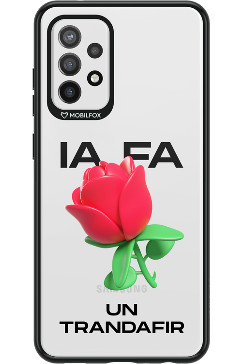 IA Rose Transparent - Samsung Galaxy A72