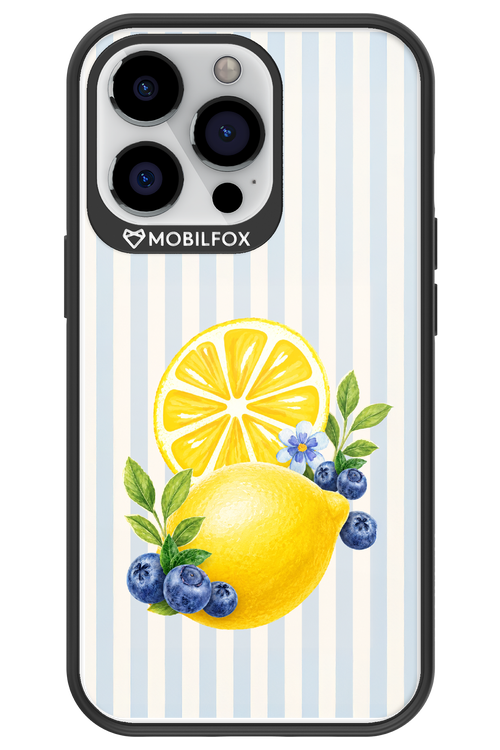 Fresh Flash 2.0 - Apple iPhone 13 Pro