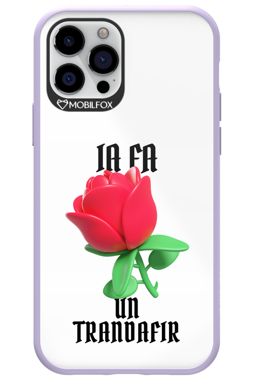 Rose Transparent - Apple iPhone 12 Pro