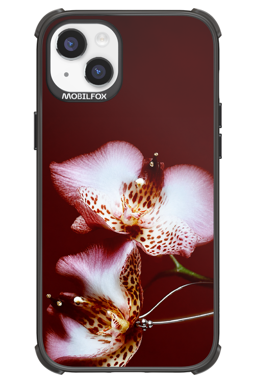 Leobloomy 2.0 - Apple iPhone 14 Plus