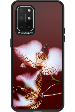 Leobloomy 2.0 - OnePlus 8T