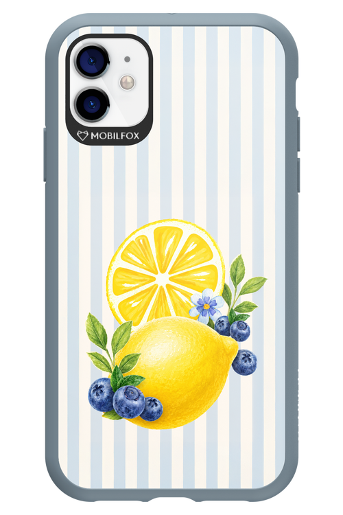 Fresh Flash 2.0 - Apple iPhone 11