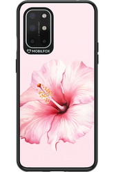 HibiPinky 2.0 - OnePlus 8T