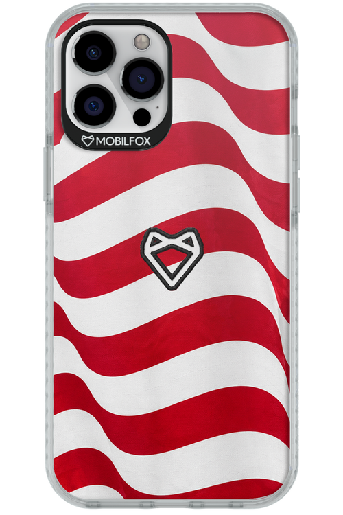 USA 2.0 - Apple iPhone 12 Pro Max