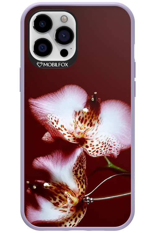 Leobloomy 2.0 - Apple iPhone 12 Pro Max