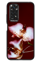 Leobloomy 2.0 - Xiaomi Redmi Note 11/11S 4G