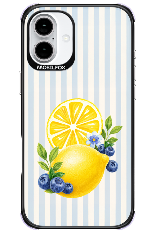 Fresh Flash 2.0 - Apple iPhone 16 Plus