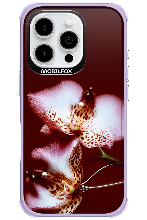 Leobloomy 2.0 - Apple iPhone 16 Pro