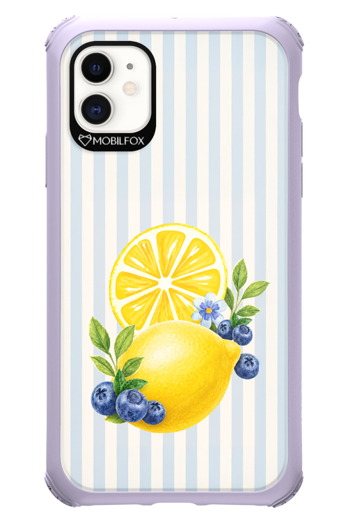 Fresh Flash 2.0 - Apple iPhone 11