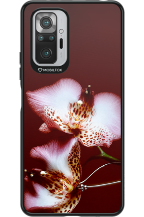 Leobloomy 2.0 - Xiaomi Redmi Note 10 Pro