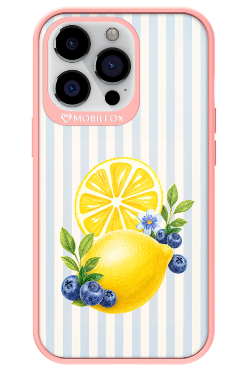 Fresh Flash 2.0 - Apple iPhone 13 Pro