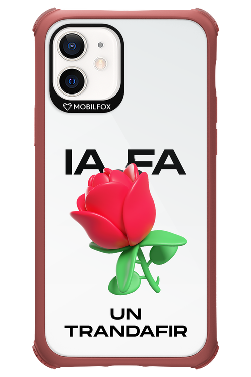 IA Rose Transparent - Apple iPhone 12