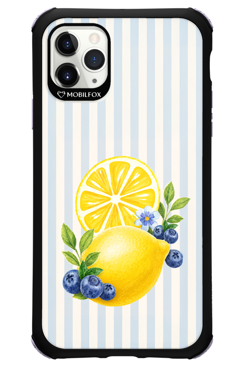Fresh Flash 2.0 - Apple iPhone 11 Pro Max