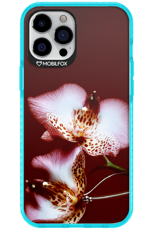 Leobloomy 2.0 - Apple iPhone 12 Pro Max