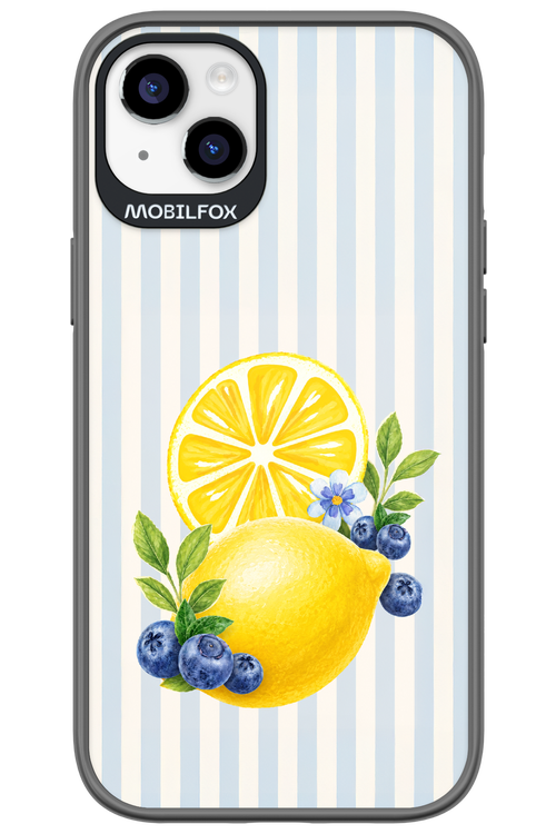 Fresh Flash 2.0 - Apple iPhone 14 Plus
