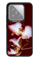 Leobloomy 2.0 - Xiaomi 14