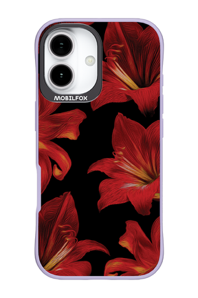 Amaryllis Noir - Apple iPhone 17