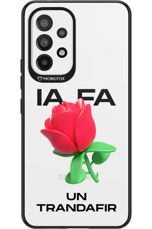 IA Rose Transparent - Samsung Galaxy A53