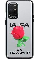 IA Rose Transparent - OnePlus 8T