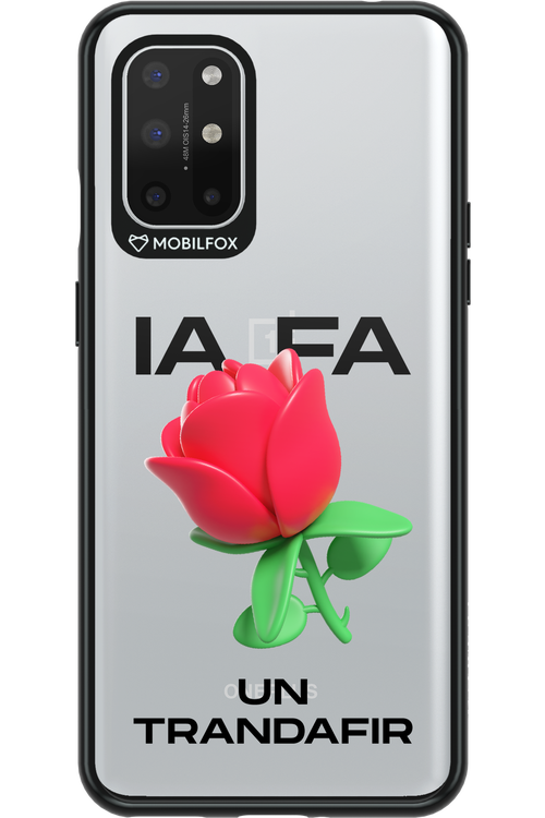 IA Rose Transparent - OnePlus 8T
