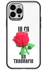 Rose Transparent - Apple iPhone 12 Pro