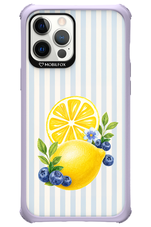 Fresh Flash 2.0 - Apple iPhone 12 Pro Max