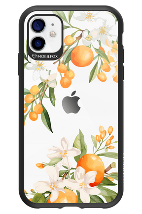 Amalfi Orange - Apple iPhone 11