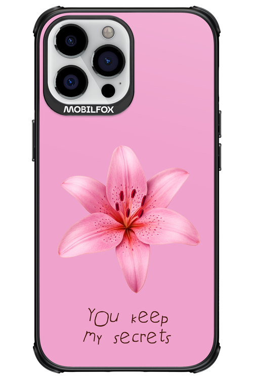 Secrets 2.0 - Apple iPhone 13 Pro Max