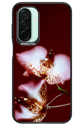 Leobloomy 2.0 - Samsung Galaxy A26