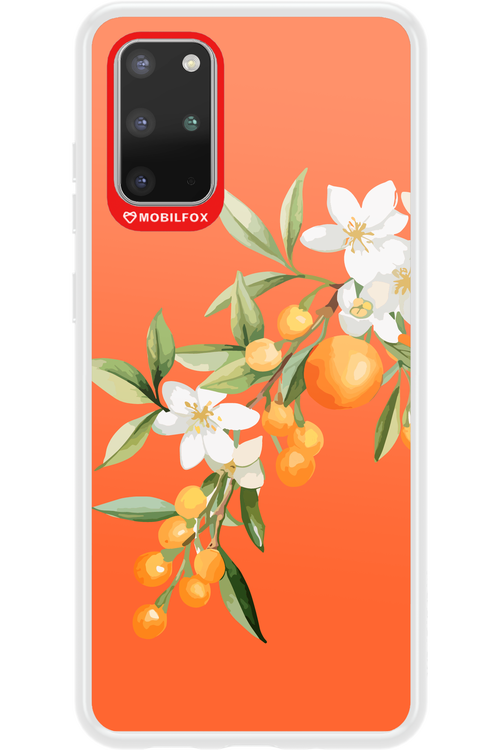 Amalfi Oranges - Samsung Galaxy S20+